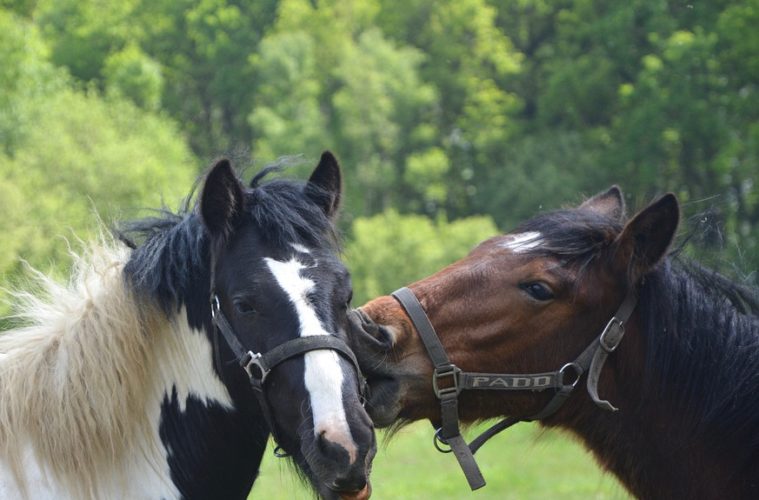 rencontre lorgues